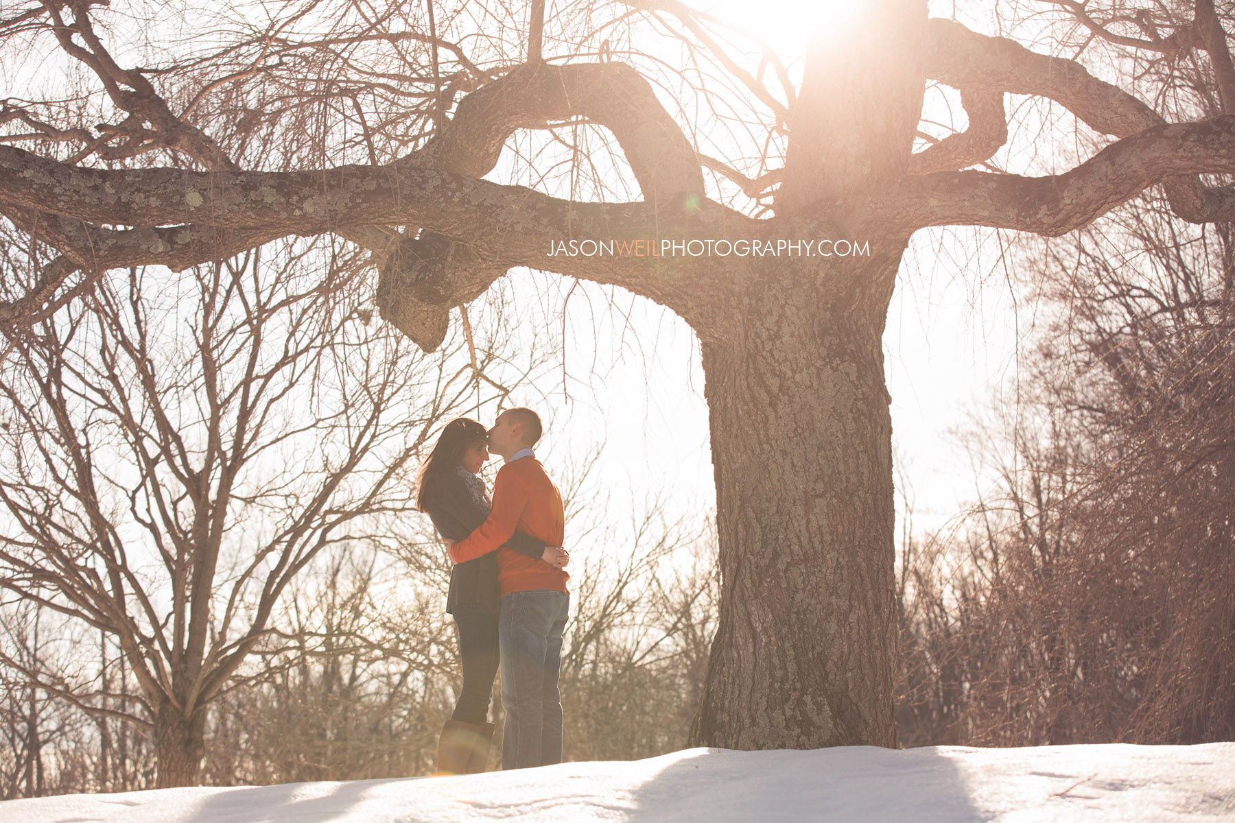 Brookside Gardens Engagement Photography