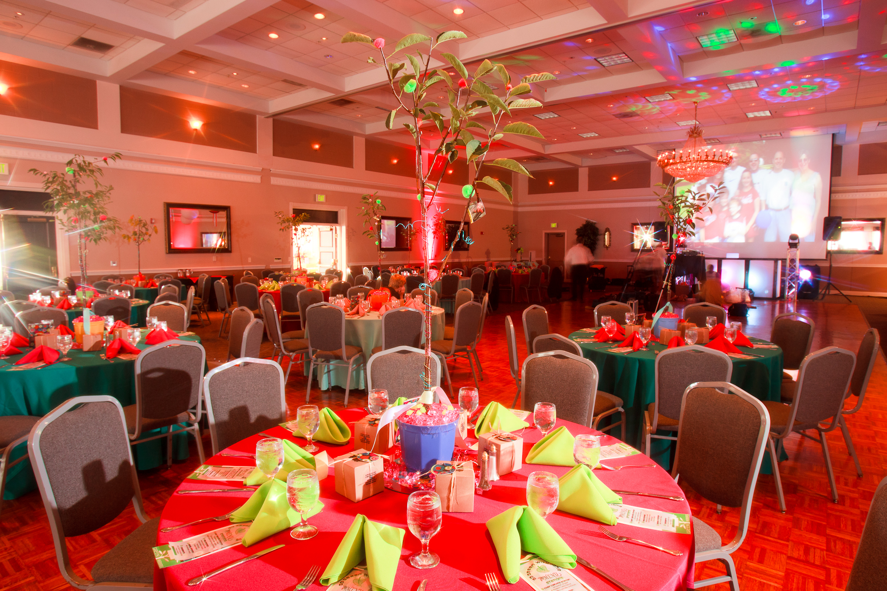 Ten Oaks Ballroom Bat Mitzvah Photography